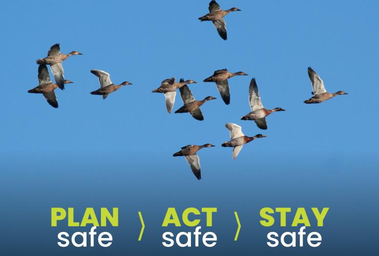 A flock of ducks flying in v formation on a clear blue sky background. The words 'Plan safe, act safe, stay safe' accompany them.